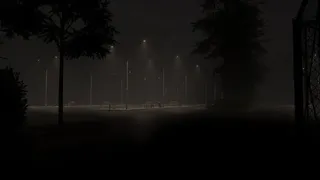 Sleep Walk