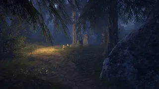 Silent Abbey