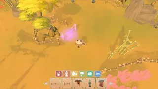 Zoto's Garden