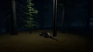 Stray Light