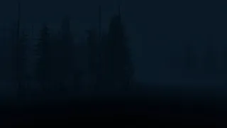 Stray Light