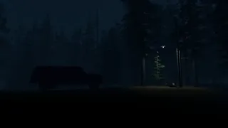 Stray Light