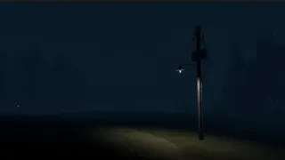 Stray Light