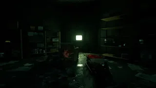 Citizen Vigilante