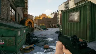 Citizen Vigilante