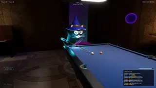 Pool Cats