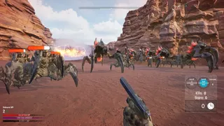 Desert Echo