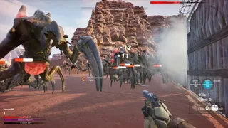 Desert Echo