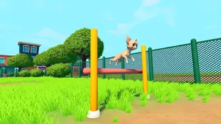 Not a Dog