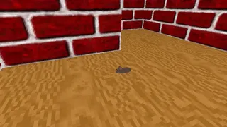 aMazeing 98
