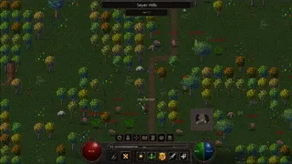Скриншот 5 к игре Seyrfall Online