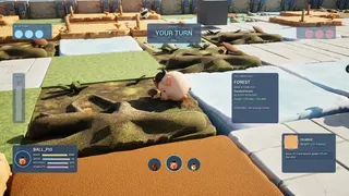 Zoollision