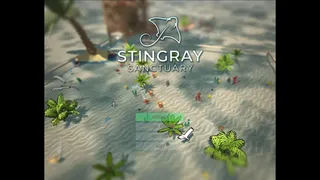 Stingray Sanctuary