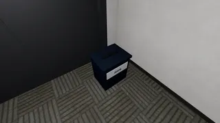 Lost Item