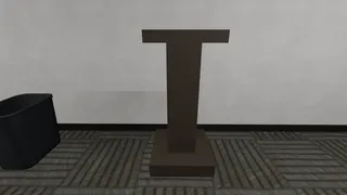 Lost Item