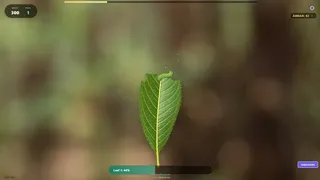 Butterfly Project