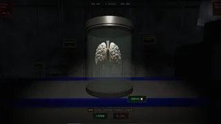 Is That a Human Organ?