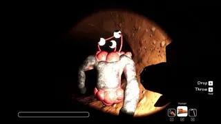 CHICKEN MINE