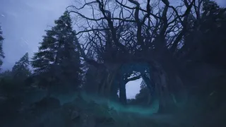 The Vanishing Memories
