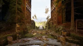 The Vanishing Memories