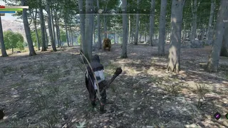 Survive The Oasis