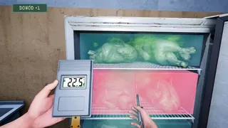 Food Inspector Simulator