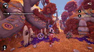 Stranded