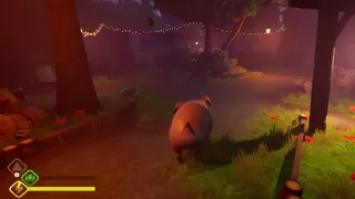 My friend pig