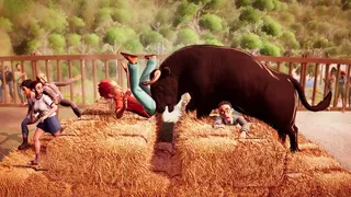 Bull Simulator