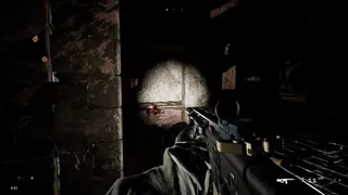 Nocturnal Warfare