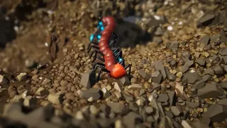 Little Legs