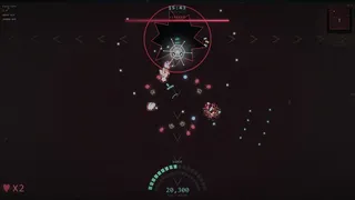 P.U.P