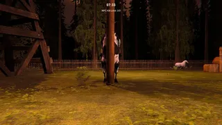 Just Another Animal