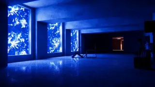 MOBIUS