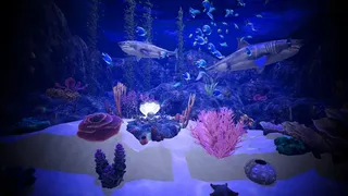 Aquarium Anomaly