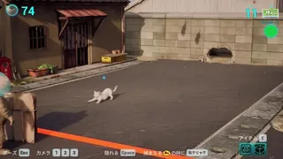 Cat Meow-tilation
