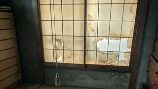 Скриншот 5 к игре ゴミ曼荼羅ダラダラ