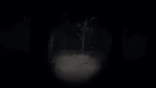 Phantom Jay