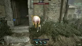 Sneaky Pig: Druid Hide & Seek