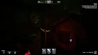 Sneaky Pig: Druid Hide & Seek