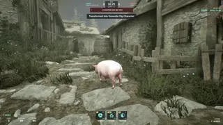 Скриншот 8 к игре Sneaky Pig: Druid Hide & Seek