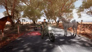 Australian Hunter