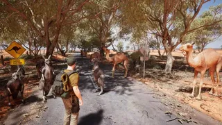 Australian Hunter