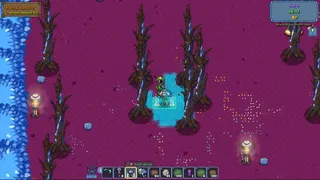 Oasis Bloom