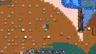 Oasis Bloom