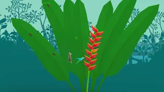 Скриншот 8 к игре Polyzonia