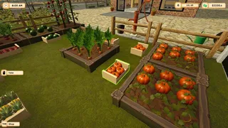 Farmstead Market Simulator
