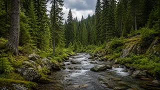 Puzzles Trees