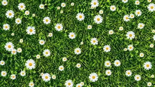 Puzzles Patterns