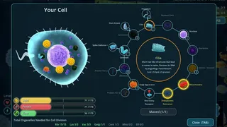 Salty: Evolution Simulator